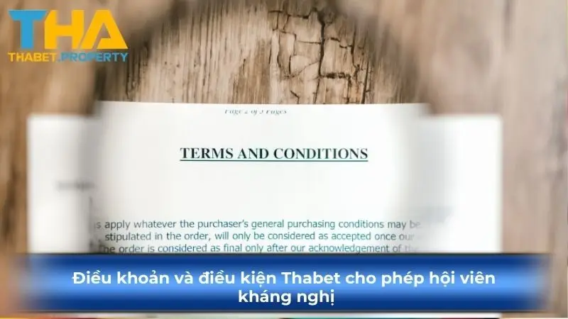 Điều khoản và điều kiện Thabet cho phép hội viên kháng nghị