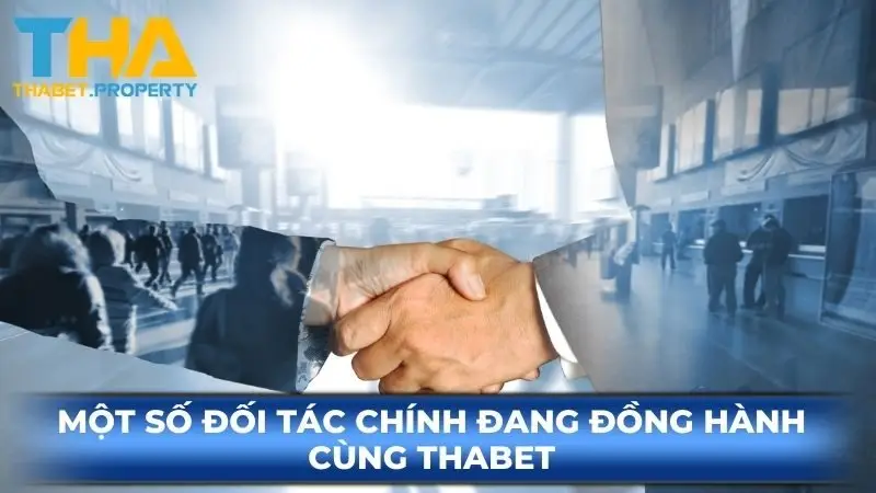 Một số đối tác chính đang đồng hành cùng Thabet