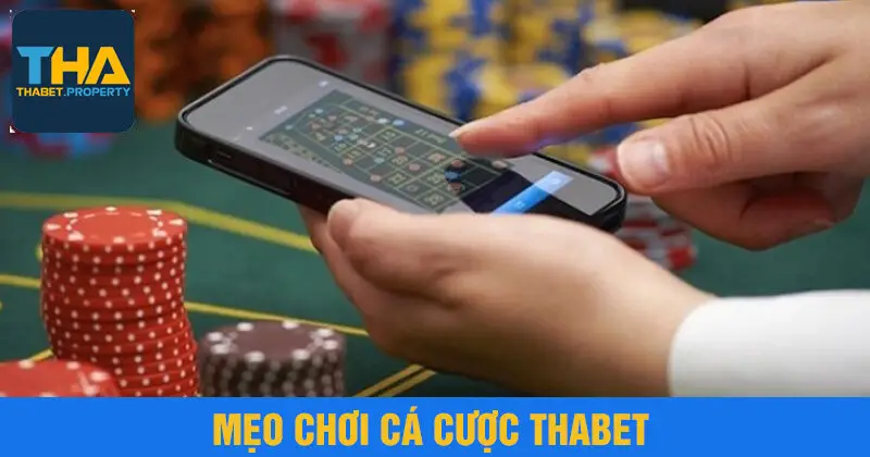 Mẹo chơi cá cược thabet
